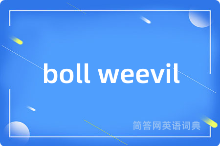 boll weevil是什么意思,boll weevil的中文翻译 boll weevil