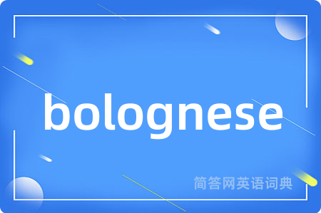 bolognese