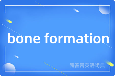 bone formation是什么意思,bone formation的中文翻译 bone formation