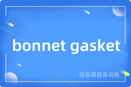 bonnet gasket