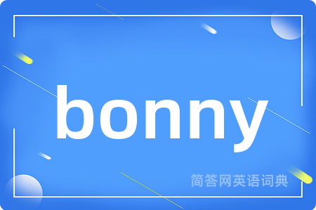 bonny是什么意思,bonny的中文翻译 bonny