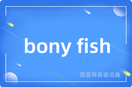 bony fish