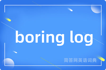 boring log