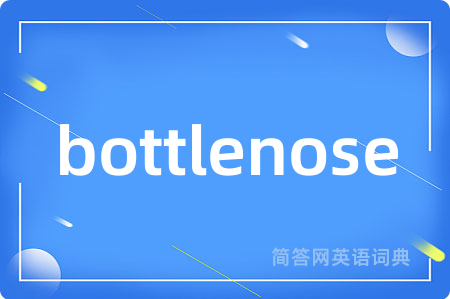 bottlenose是什么意思,bottlenose的中文翻译 bottlenose