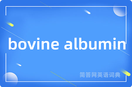 bovine albumin