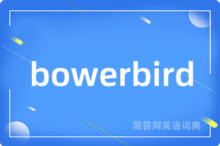 bowerbird