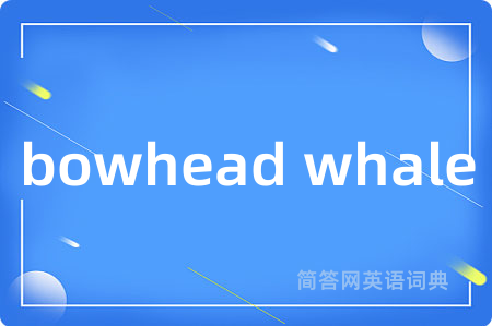bowhead whale