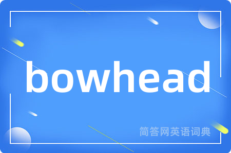 bowhead是什么意思,bowhead的中文翻译 bowhead