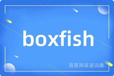 boxfish