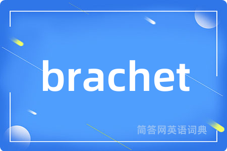 brachet是什么意思,brachet的中文翻译 brachet