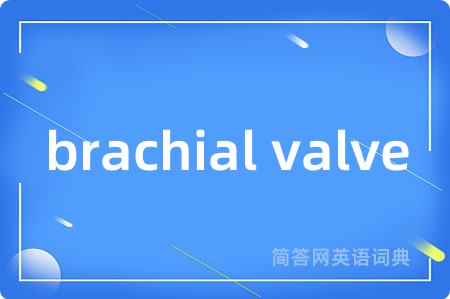 brachial valve