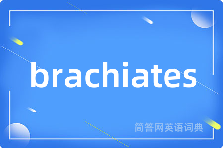 brachiates