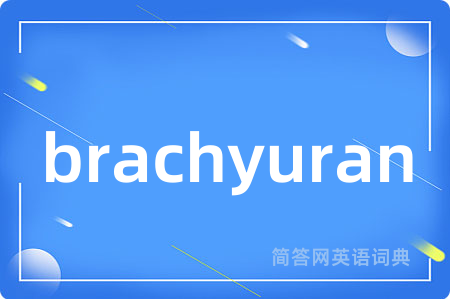 brachyuran