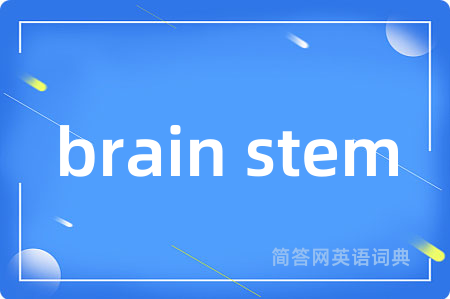 brain stem是什么意思,brain stem的中文翻译 brain stem