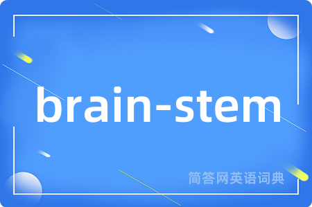 brain-stem