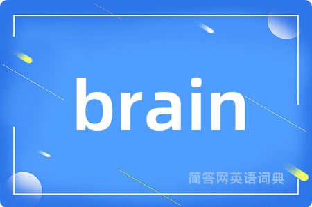 brain