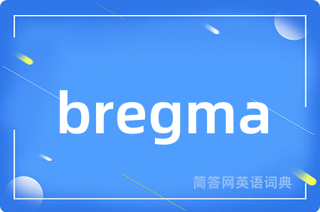 bregma