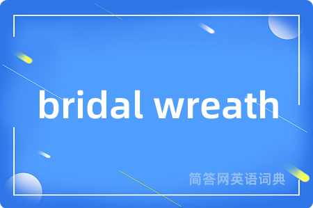 bridal wreath