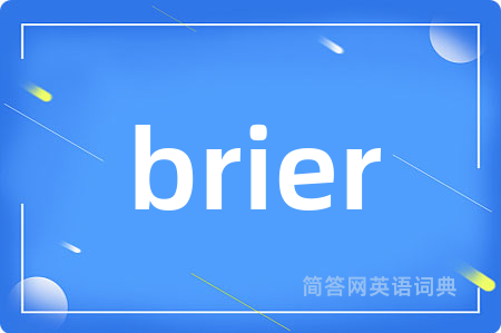 brier