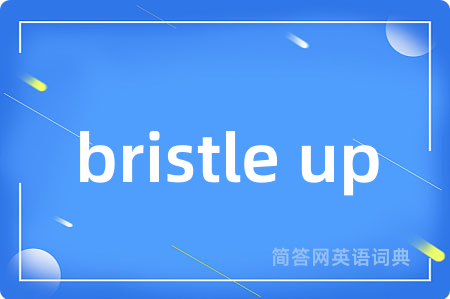 bristle up