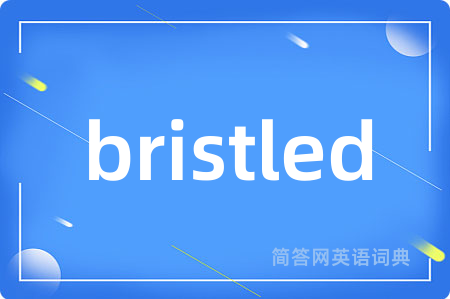 bristled是什么意思,bristled的中文翻译 bristled