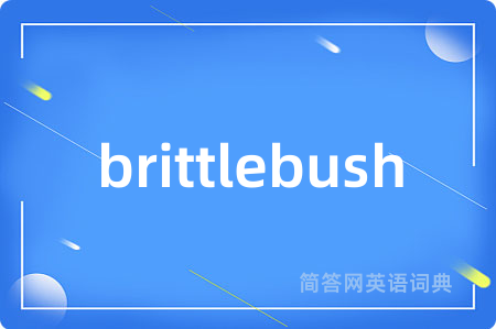 brittlebush