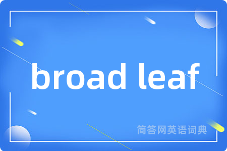 broad leaf