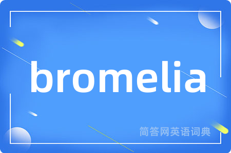 bromelia