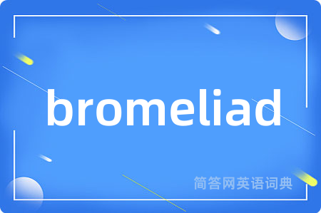 bromeliad