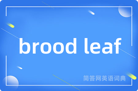 brood leaf