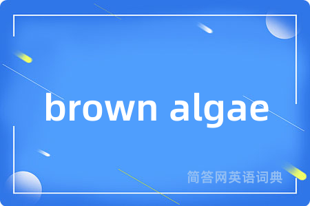 brown algae