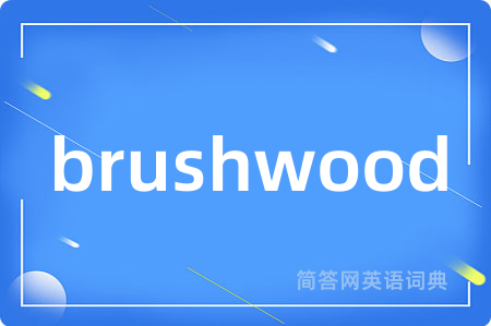 brushwood是什么意思,brushwood的中文翻译 brushwood