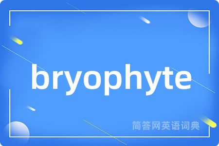 bryophyte是什么意思,bryophyte的中文翻译 bryophyte