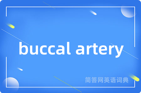 buccal artery