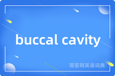 buccal cavity