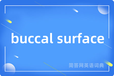buccal surface