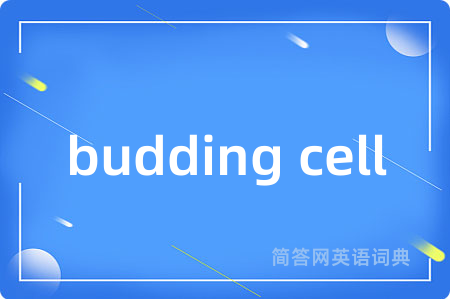 budding cell