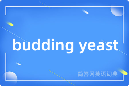 budding yeast