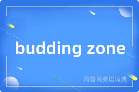 budding zone