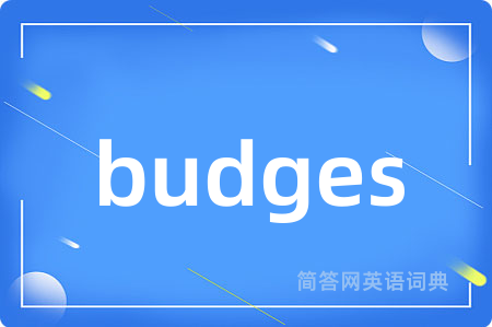 budges是什么意思,budges的中文翻译 budges
