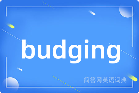 budging