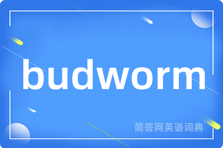 budworm