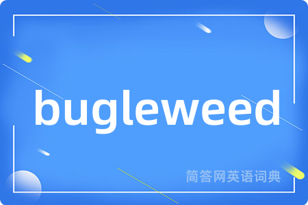 bugleweed