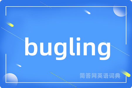bugling