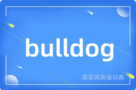 bulldog