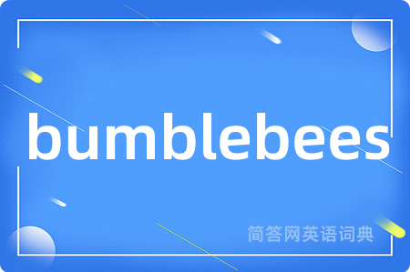 bumblebees是什么意思,bumblebees的中文翻译 bumblebees