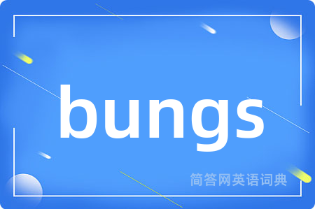 bungs