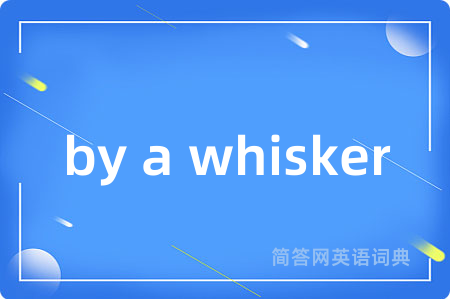 by a whisker是什么意思,by a whisker的中文翻译 by a whisker
