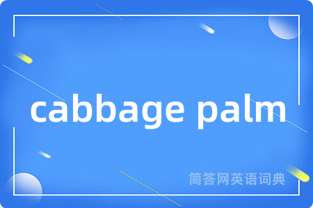 cabbage palm