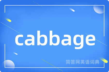 cabbage